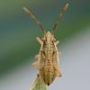 215925 – Photo : Liliane Delattre – France (30)